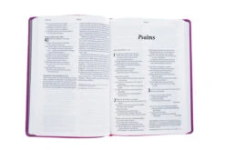 NLT Large Print Thinline Reference Bible, Filament Enabled Edition (Red Letter, 9 NLT Large Print Thinline Reference Bible, Filament Enabled Edition (Red Letter, -Book Store 100 0006 3
