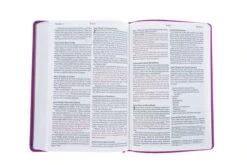 NLT Large Print Thinline Reference Bible, Filament Enabled Edition (Red Letter, 10 NLT Large Print Thinline Reference Bible, Filament Enabled Edition (Red Letter, -Book Store 100 0006 4