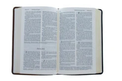 LIV: Living Bible – Paraphrased -Book Store 100 0007 3