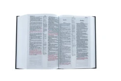 Bible German/English Original Red Letter Hardcover -Book Store 100 0123 3