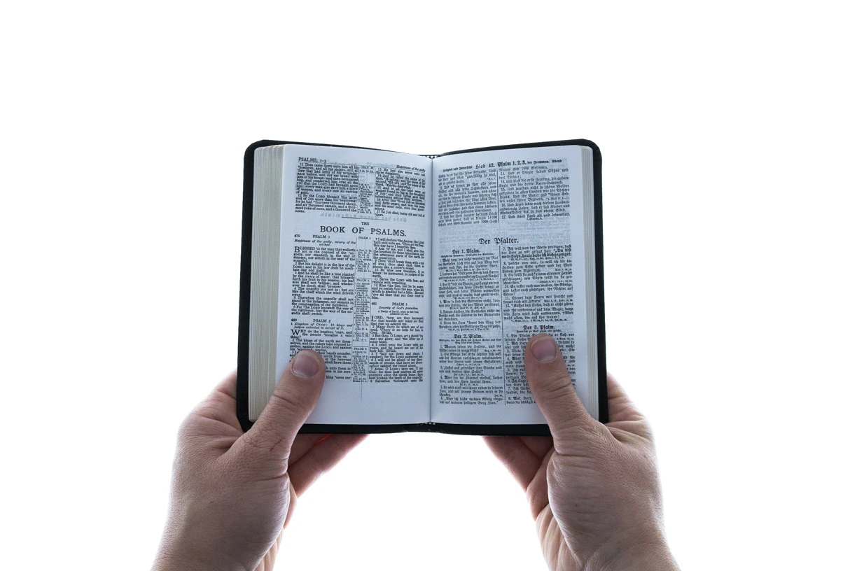 New Testament German/English 3 New Testament German/English - Image 3