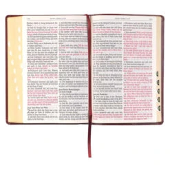Burgundy Faux Leather Full-size Giant Print King James Version Bible With Thumb -Book Store 1000 1009 2
