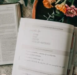 Amen- The Story Of Scripture From Eden To Eternity -Book Store 117 0022 2 1