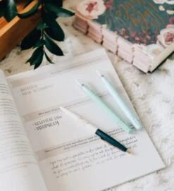 Amen- The Story Of Scripture From Eden To Eternity -Book Store 117 0022 3