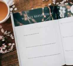 Delight Bible Study Psalms 1-30 -Book Store 117 0024 3 1