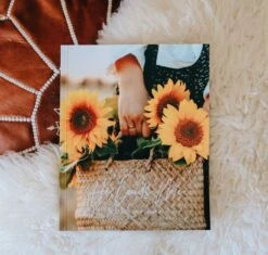 He Leads Me | A Study Of Psalms 23