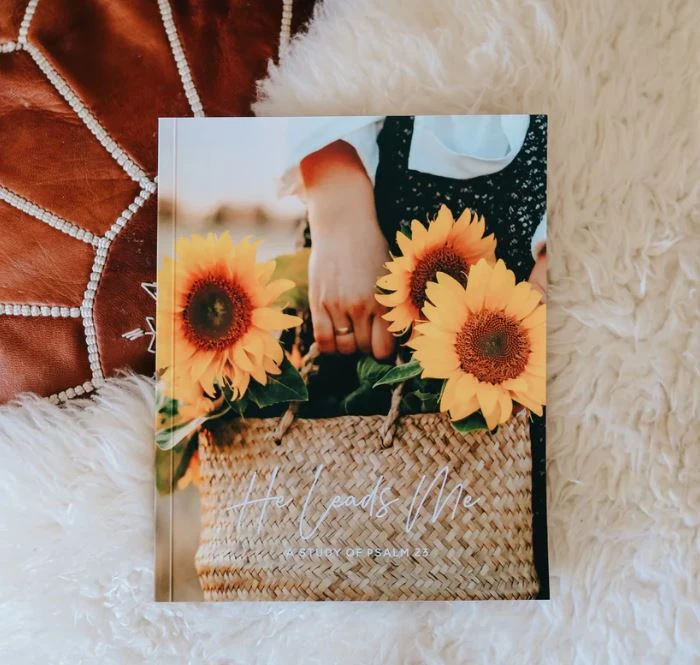 He Leads Me | A Study Of Psalms 23 1 He Leads Me | A Study Of Psalms 23