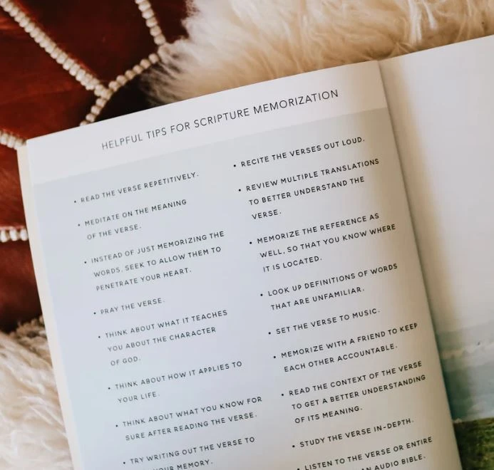 He Leads Me | A Study Of Psalms 23 2 He Leads Me | A Study Of Psalms 23 - Image 2