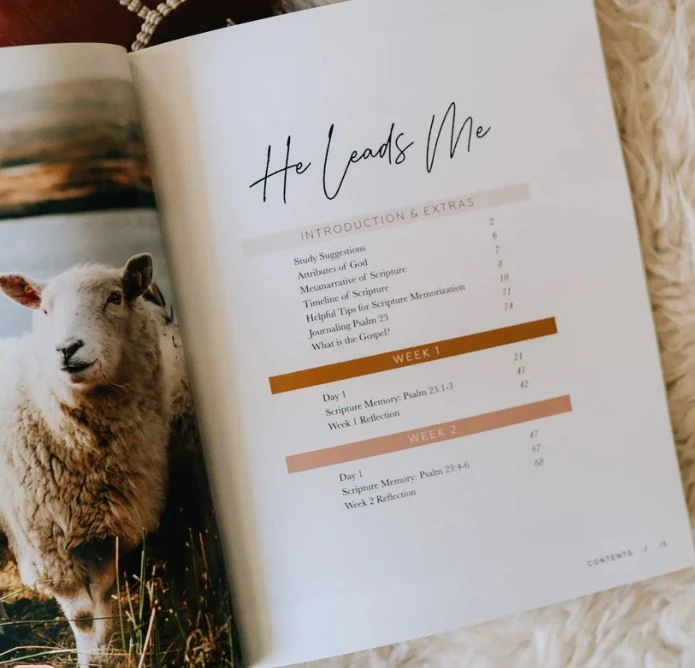 He Leads Me | A Study Of Psalms 23 3 He Leads Me | A Study Of Psalms 23 - Image 3
