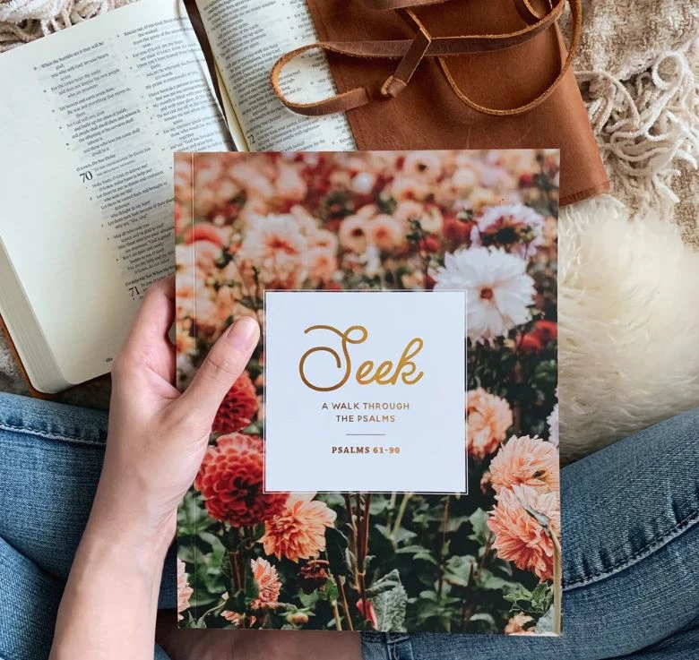Seek: A Walk Through Psalms Psalms 61-90 2 Seek: A Walk Through Psalms Psalms 61-90 - Image 2