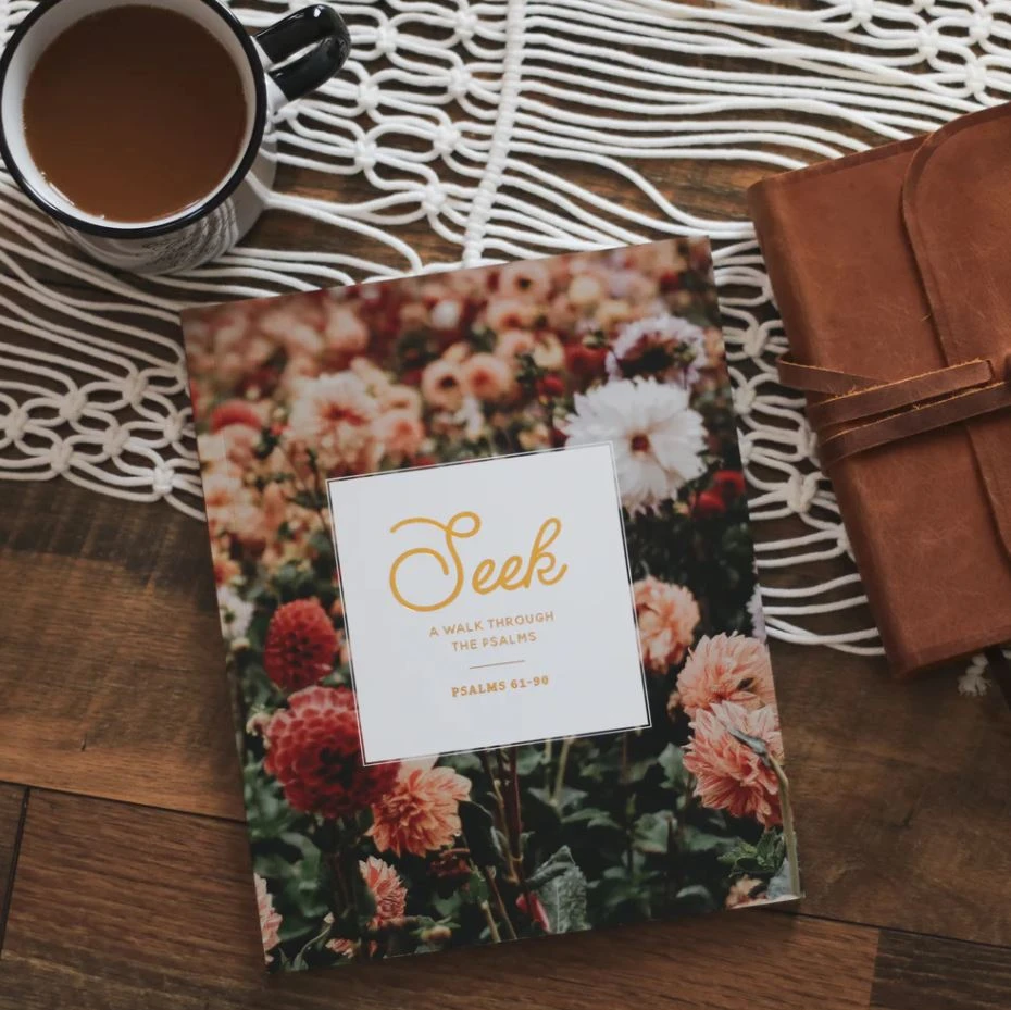 Seek: A Walk Through Psalms Psalms 61-90 3 Seek: A Walk Through Psalms Psalms 61-90 - Image 3