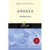 Angels: Standing Guard Revised -Lifeguide Bible Studies
