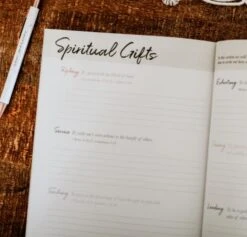 Romans Volume 2 | The Gospel Centered Life 11 Romans Volume 2 | The Gospel Centered Life -Book Store 117 0147 5