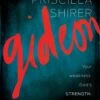 Gideon – Bible Study Book: Your Weakness, God’s Strength