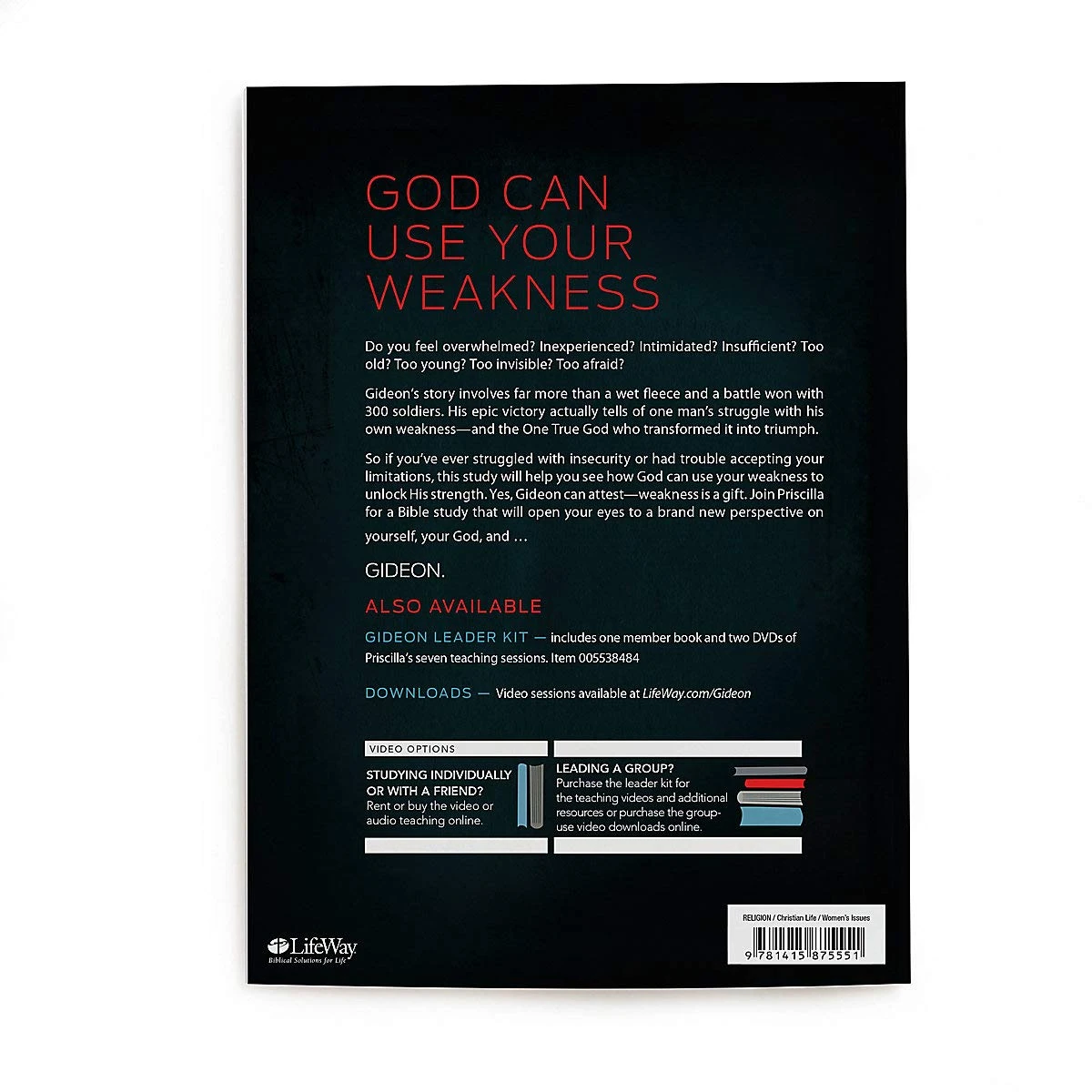 Gideon – Bible Study Book: Your Weakness, God’s Strength 2 Gideon – Bible Study Book: Your Weakness, God’s Strength - Image 2