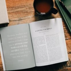 Romans Vol. 2 | The Gospel-Centered Life – Men -Book Store 117 0188 1 1