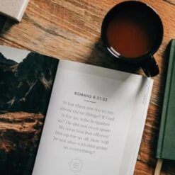 Romans Vol. 2 | The Gospel-Centered Life – Men 9 Romans Vol. 2 | The Gospel-Centered Life – Men -Book Store 117 0188 3