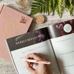 Chosen: Ephesians Study -Book Store 117 1705 2