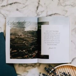 Mercy In The Storm: Jonah Study 9 Mercy In The Storm: Jonah Study -Book Store 117 1708 3