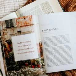 Ruth -Fields Of Grace -Book Store 117 1710 2