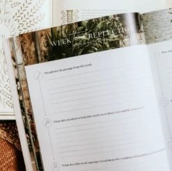 Ruth -Fields Of Grace -Book Store 117 1710 3