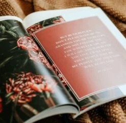 Ruth -Fields Of Grace -Book Store 117 1710 5