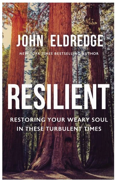 Resilient : Restoring Your Weary Soul In These Turbulent Times 1 Resilient : Restoring Your Weary Soul In These Turbulent Times