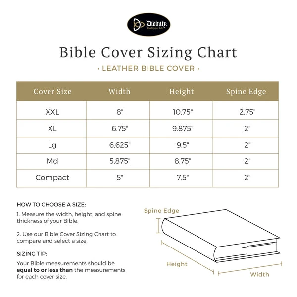 BC :Purple W/ Cream Stripe Medium 6 BC :Purple W/ Cream Stripe Medium - Image 6