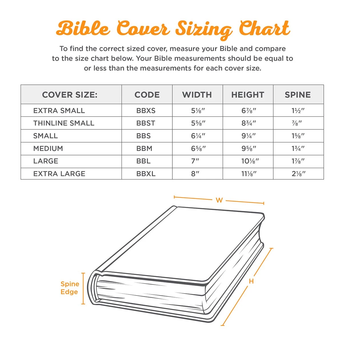 BC: Medium Gray & Turquoise Amazing Grace 3 BC: Medium Gray & Turquoise Amazing Grace - Image 3