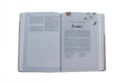 CSB (in)courage Devotional Bible, Desert/Mustard/Alabaster LeatherTouch -Book Store 200 0009 3