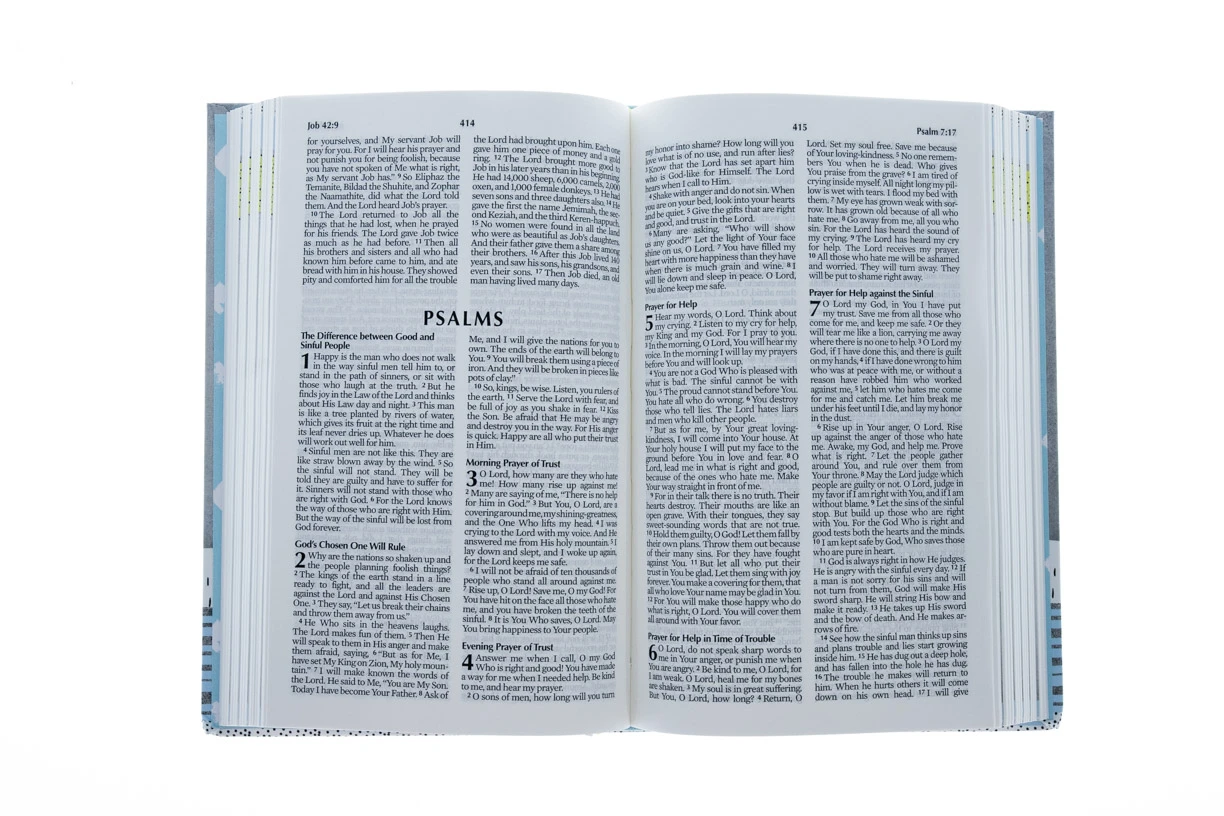 IASPIRE Teen Study Bible: New Life Version 2 IASPIRE Teen Study Bible: New Life Version - Image 2