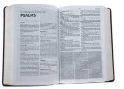 KJV Everyday Study Bible, British Tan Leathertouch -Book Store 200 0210 3