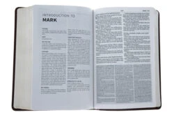 KJV Everyday Study Bible, British Tan Leathertouch -Book Store 200 0210 4