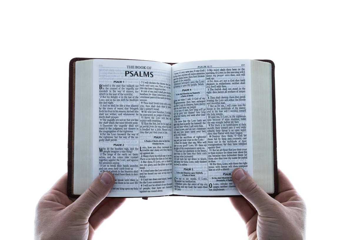 KJV Brown Faux Leather Large Print Compact 4 KJV Brown Faux Leather Large Print Compact - Image 4