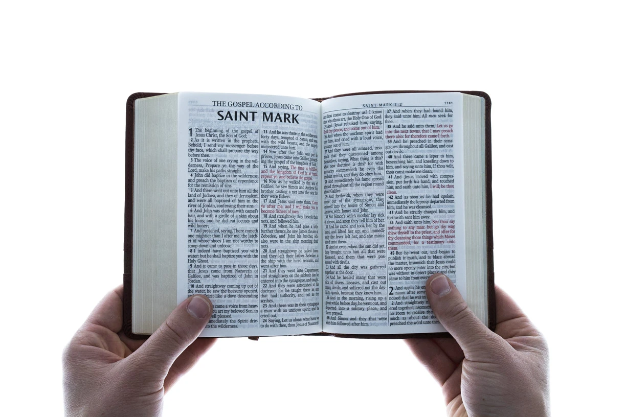 KJV Brown Faux Leather Large Print Compact 5 KJV Brown Faux Leather Large Print Compact - Image 5