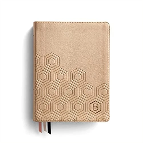 NLT One Step Closer Bible 1 NLT One Step Closer Bible