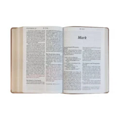 NLT Super Giant Print Bible, Dayspring Signature Collection -Book Store 200 0406 4