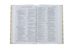 ESV Thinline Bible -Cloth Over Board, Polka Dots -Out Of Print -Book Store 200 0441 3