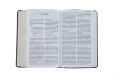 ESV Large Print Personal Size Bible Trutone, Brown, Engraved Mantel Design -Book Store 200 0452 4