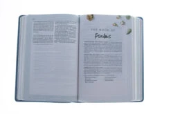 CSB (In)Courage Devotional Bible-Blue LeatherTouch 7 CSB (In)Courage Devotional Bible-Blue LeatherTouch -Book Store 200 0518 2