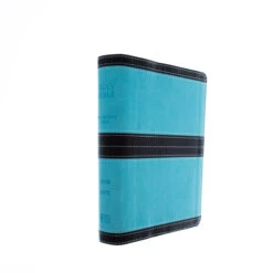 Parellel NIV, KJV, Side-by-Side, Compact,