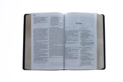 KJV/NLT2 People’s Parallel Bible-Burgundy Imitation Leather 9 KJV/NLT2 People’s Parallel Bible-Burgundy Imitation Leather -Book Store 202 0031 3