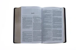 KJV/NLT2 People’s Parallel Bible-Burgundy Imitation Leather 10 KJV/NLT2 People’s Parallel Bible-Burgundy Imitation Leather -Book Store 202 0031 4