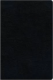 KJV, Amplified, Parallel Bible, Large Print, Bonded Leather, Black
