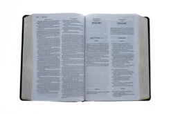 KJV, Amplified, Parallel Bible, Large Print, Bonded Leather, Black -Book Store 202 0045 3
