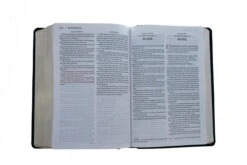 KJV, Amplified, Parallel Bible, Large Print, Bonded Leather, Black -Book Store 202 0045 4