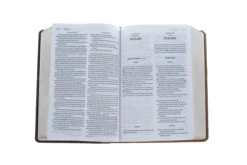 KJV, Amplified, Parallel Bible, Large Print, Leathersoft, Tan/Burgundy 9 KJV, Amplified, Parallel Bible, Large Print, Leathersoft, Tan/Burgundy -Book Store 202 0047 4