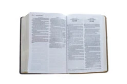 KJV, Amplified, Parallel Bible, Large Print, Leathersoft, Tan/Burgundy 10 KJV, Amplified, Parallel Bible, Large Print, Leathersoft, Tan/Burgundy -Book Store 202 0047 5