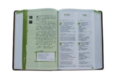 NLT / CNLT English / Chinese Simplified Chinese -Book Store 202 0048 3