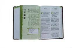 NLT / CNLT English / Chinese Simplified Chinese -Book Store 202 0048 4